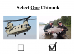 Chinook.png