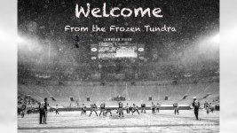Frozen Tundra.jpg