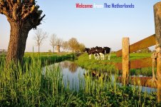 welcome from holland3.jpg
