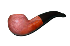 Gonad-Pipe-01a.png