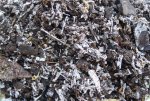 fungus-mould-hyphae-on-bark-based-potting-mix.jpg