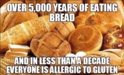 gluten.jpg