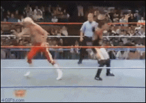 funny-gif-wrestling-4gifs.com_.gif