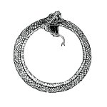 what-is-the-meaning-of-the-ouroboros-symbol-and-does-it-v0-k1pextzx73nb1.jpg