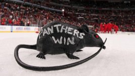 Panthers Rats 050923.jpg