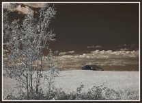 field in vanderhoof infrared opt.jpg