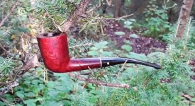 Grabow in Forest.jpg