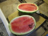 watermelon open.jpg