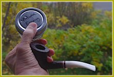 Autumn Evening and Savinelli Avorio.JPG