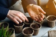 How To Grow Plants From Seeds ...