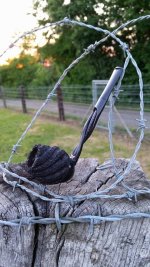 barbwire briar.jpg