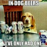 dog beer.jpg