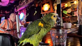 image.jpeg image.jpeg