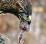 Screenshot 2025-02-09 at 10.19.14 PM.png