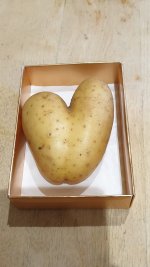 Valentine Potato.jpg