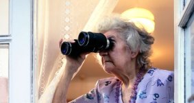 0_Retired-lady-snooping-on-neighbours.jpg