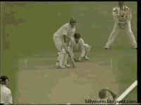 andrew-strauss-shane-warne.gif