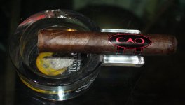 CAO Soprano Robusto.JPG