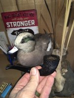 IMG_1979.jpeg IMG_1979.jpeg