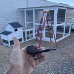 IMG_4054.jpeg IMG_4054.jpeg