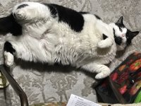 DaisyFloorBelly.jpg