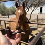 IMG_4099.jpeg