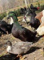 1000001832.jpg 1000001832.jpg