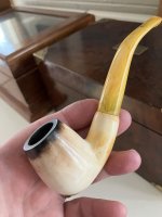 IMG_2931.jpeg IMG_2931.jpeg