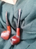 IMG_20250327_135008.jpg IMG_20250327_135008.jpg