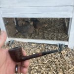 IMG_4148.jpeg