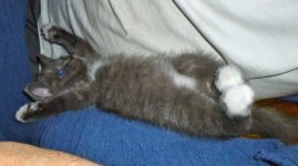 MollyBellyStretch1.jpg