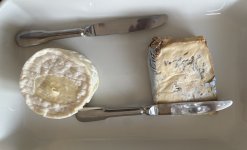 IMG_9127.jpeg