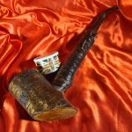 20250405_172101.jpg 20250405_172101.jpg