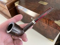 IMG_2981.jpeg IMG_2981.jpeg