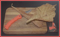 IMGP5645leavesandknifeoptlight.JPG