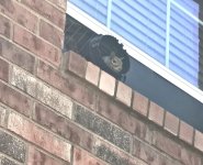 inli6666ne.jpg inli6666ne.jpg