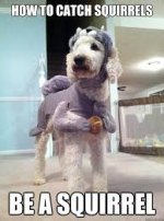 1744155996082.jpeg 1744155996082.jpeg