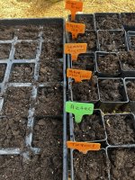 IMG_4172.jpeg IMG_4172.jpeg