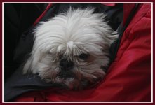 Ricoh Jan 30  17.jpg