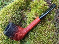 20240506_134357.jpg 20240506_134357.jpg