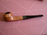 CIMG1341.JPG CIMG1341.JPG