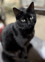 IMG_9723.jpeg IMG_9723.jpeg