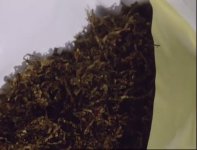 IMG_6788.jpeg IMG_6788.jpeg