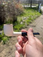 IMG_6795.jpeg IMG_6795.jpeg