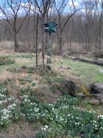 IMG_8767.jpeg IMG_8767.jpeg