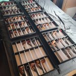 20250221_233137.jpg 20250221_233137.jpg