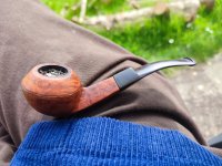 IMG_20250417_130347.jpg IMG_20250417_130347.jpg