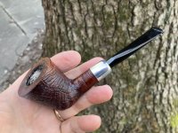 IMG_3018.jpeg IMG_3018.jpeg