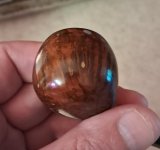 1000004622.jpg 1000004622.jpg