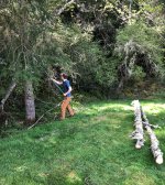 IMG_9123.JPG IMG_9123.JPG